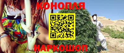PSILOCYBIN Будённовск