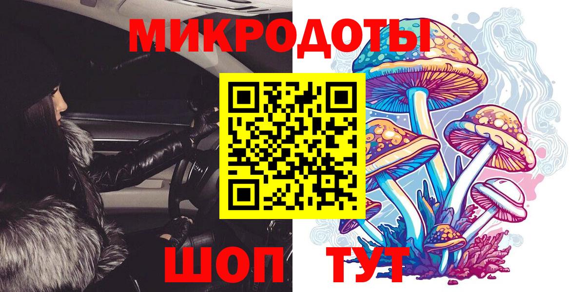 Североуральск  Галлюциногенные грибы Psilocybine cubensis  Вход с VPN 